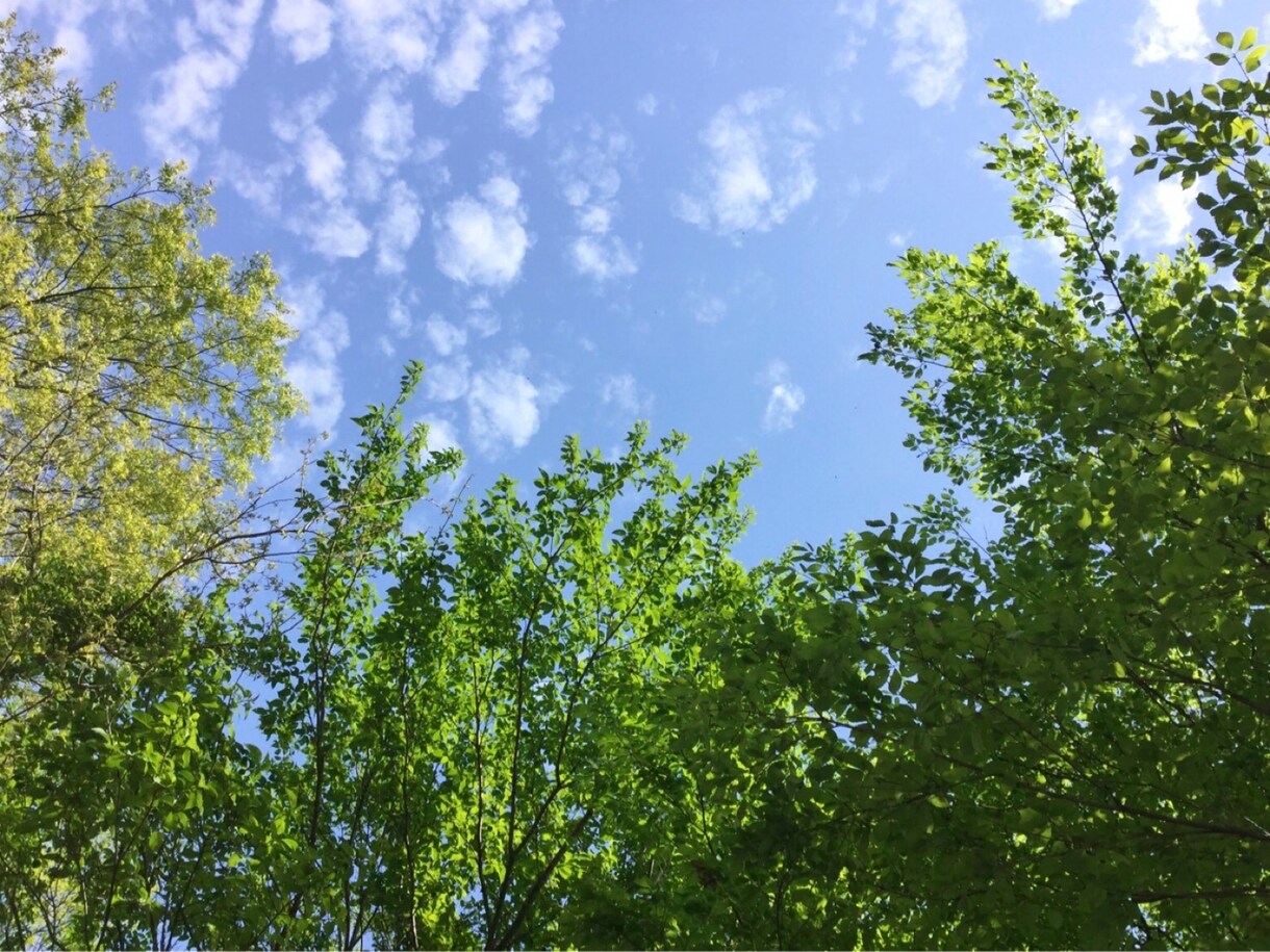 チャネリングや霊視でご相談やお悩みにお答えします 今後どうなるか未来がみたい方や人の気持ちを知りたい方にぜひ♡ イメージ1