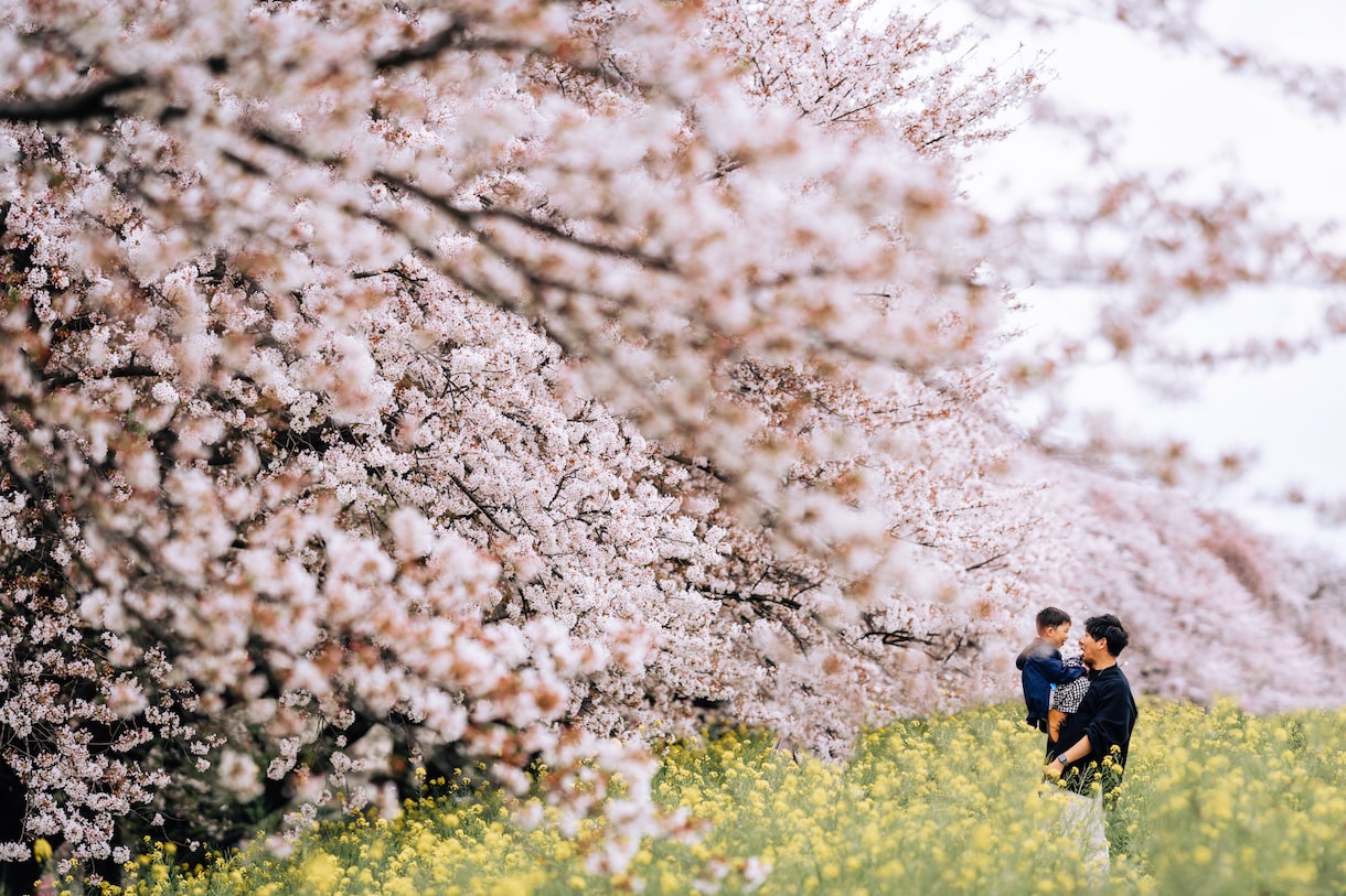 お気に入りの写真、甦らせます お写真のレタッチや余計な写り込みを消します！ イメージ4