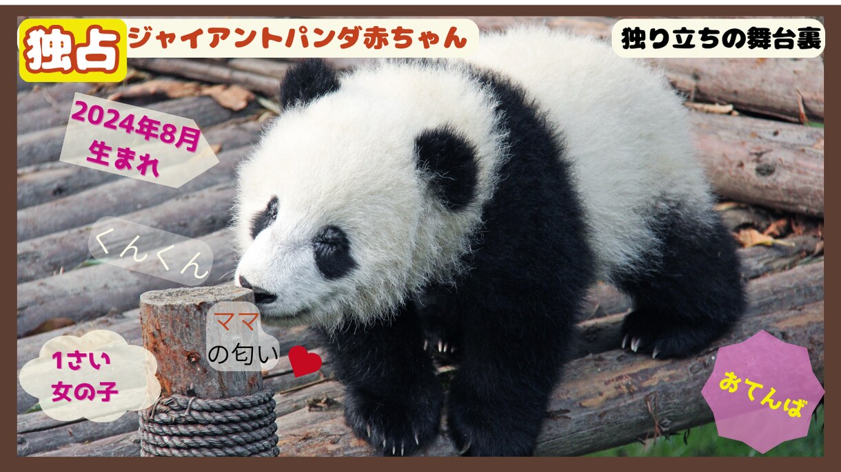 WEB広告になります サムネイル、BANNERなど広告を作成いたします。 イメージ3