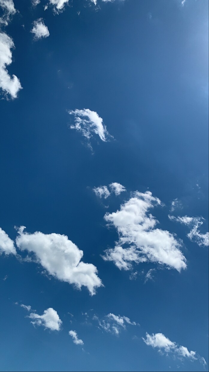 孤独を抱えた方向け、どんな事でも聞きます 急な孤独感に襲われたら私がいつでもそばに居るからね。 イメージ1