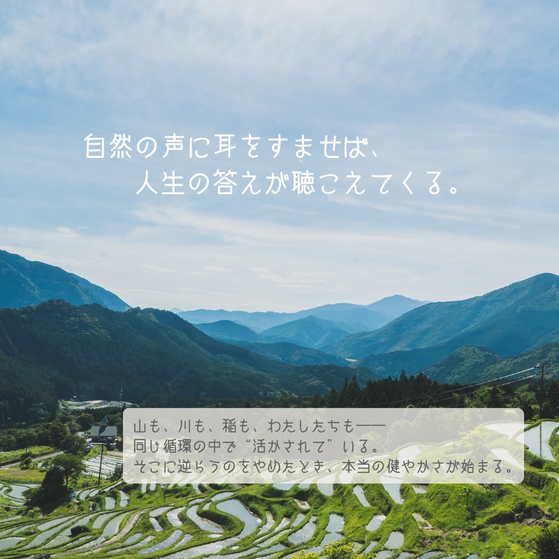 日本人としての芯を整えます 「決められないわたし」は、芯を忘れていた。 いま取り戻す時─ イメージ5