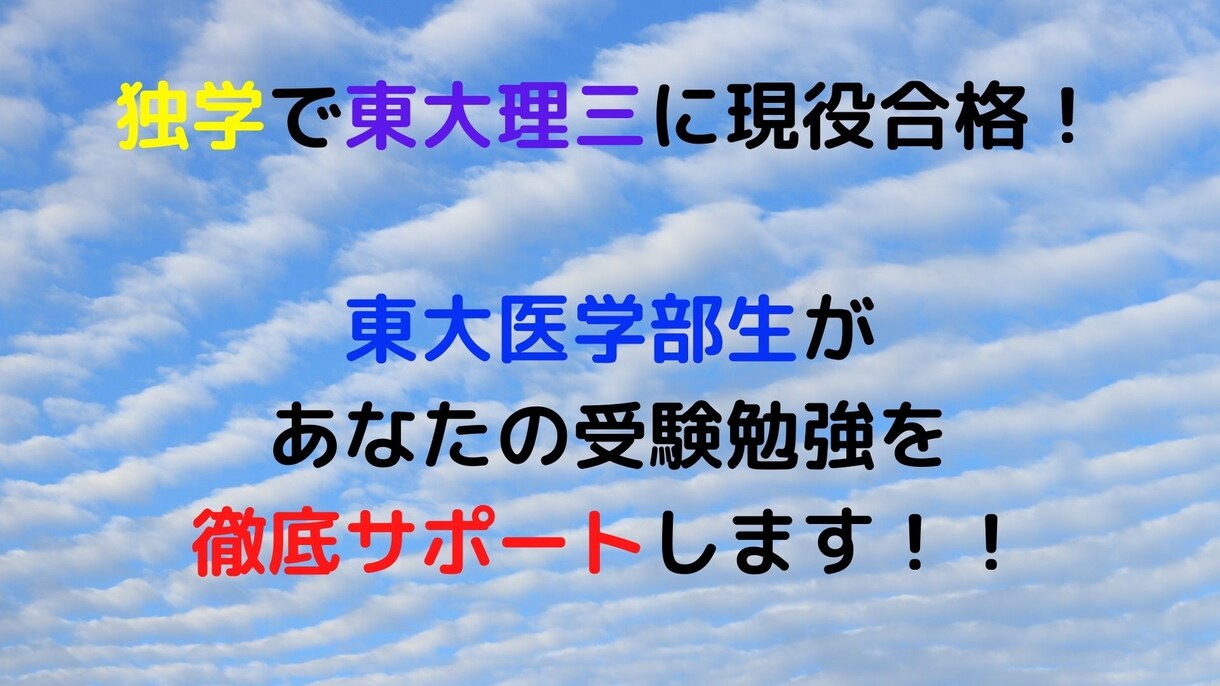 東大医学部生があなたの受験勉強を徹底サポートします 勉強計画のサポートや質問回答、解答添削を行います。 イメージ1
