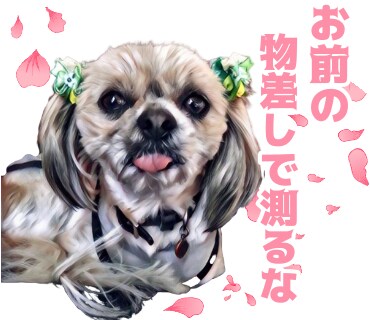 スマホで撮った写真をLINEスタンプに加工します お子様やペットに文字を入れ、オリジナルスタンプ！絵画風にも！ イメージ8