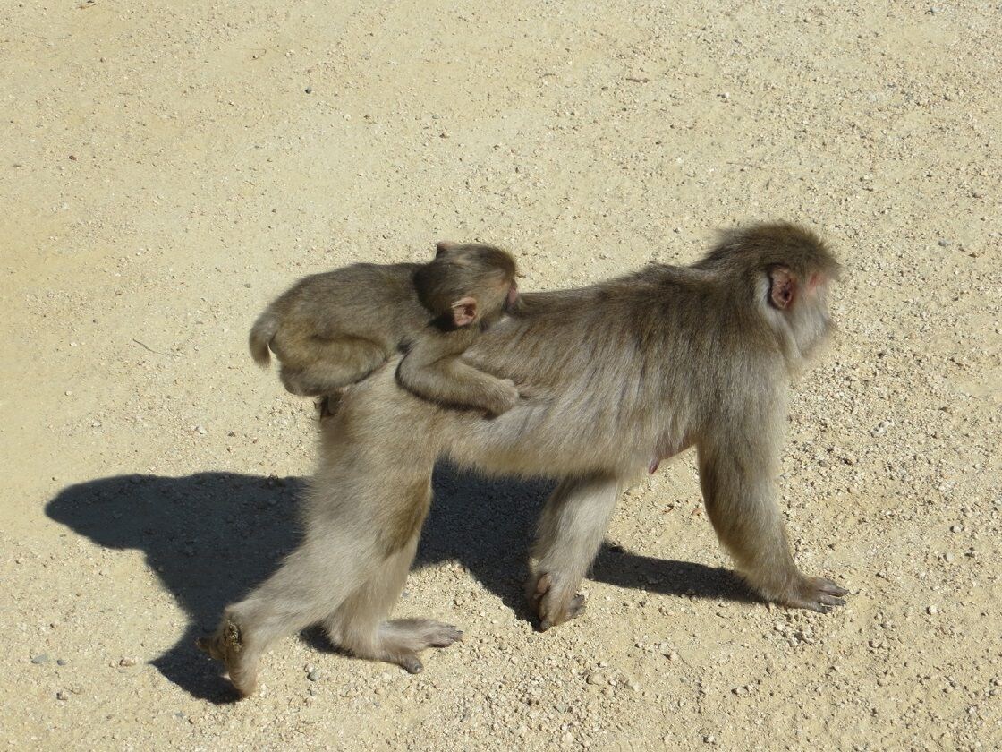 あなたの悩みやいいたいこと聞きますよ イメージ2