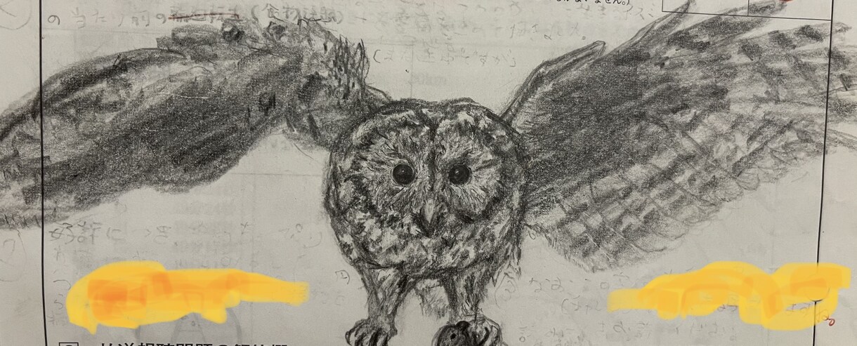 デッサンイラストでございます デッサン風イラスト　色も付けれます イメージ4