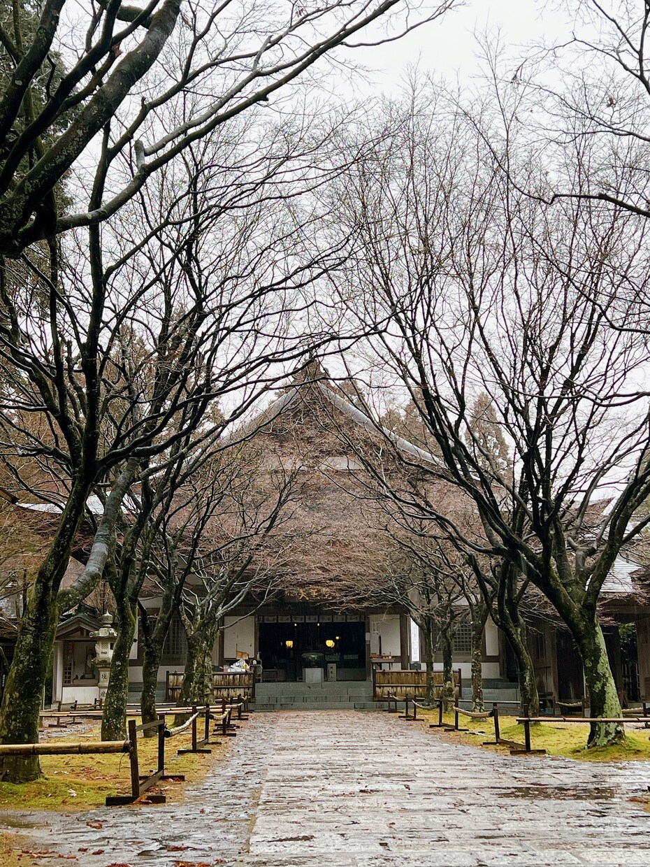 日常、観光地、仏閣の素材を提供しています 日常の一枚を集めてみました。季節物、風景、仏閣などです。 イメージ8
