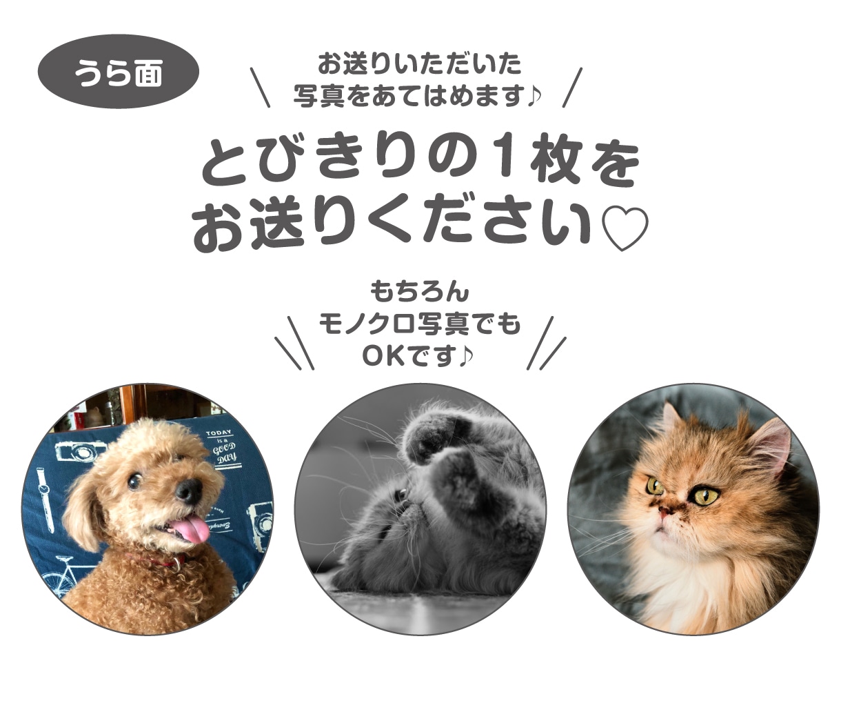 シンプル可愛い♡ペットの似顔絵キーホルダー作ります ★安心の送料込価格★可愛くデフォルメ★裏面には写真を配置♪ イメージ4