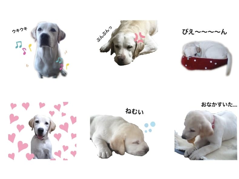 簡単⭐︎すぐに⭐︎写真でラインスタンプ作ります 〜お子様やペットの可愛さをスタンプに詰め込みます…*〜 イメージ2