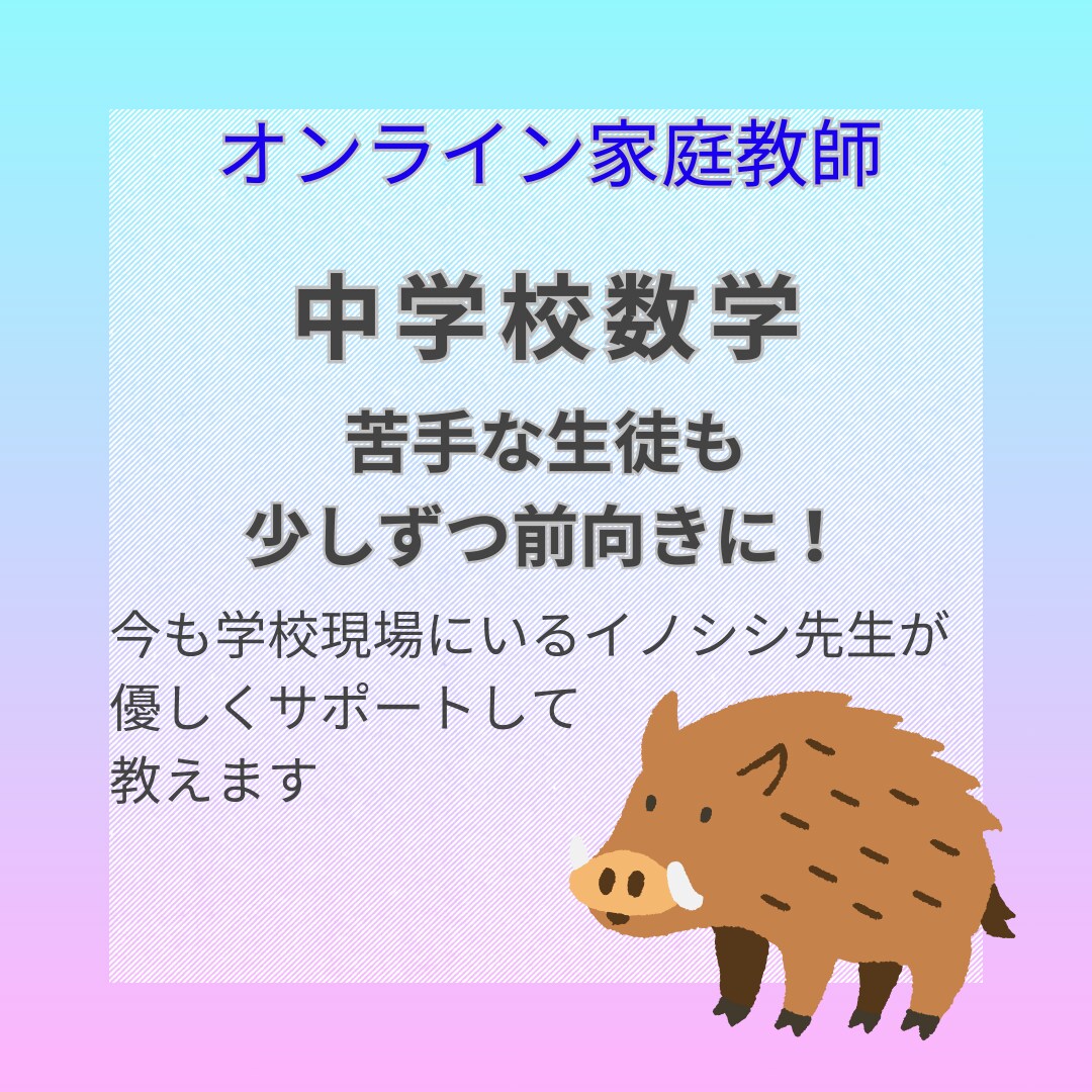現役数学講師が勉強苦手な中学生に優しく数学教えます 苦手な生徒も大丈夫！少しずつ自信をつける数学。 イメージ1