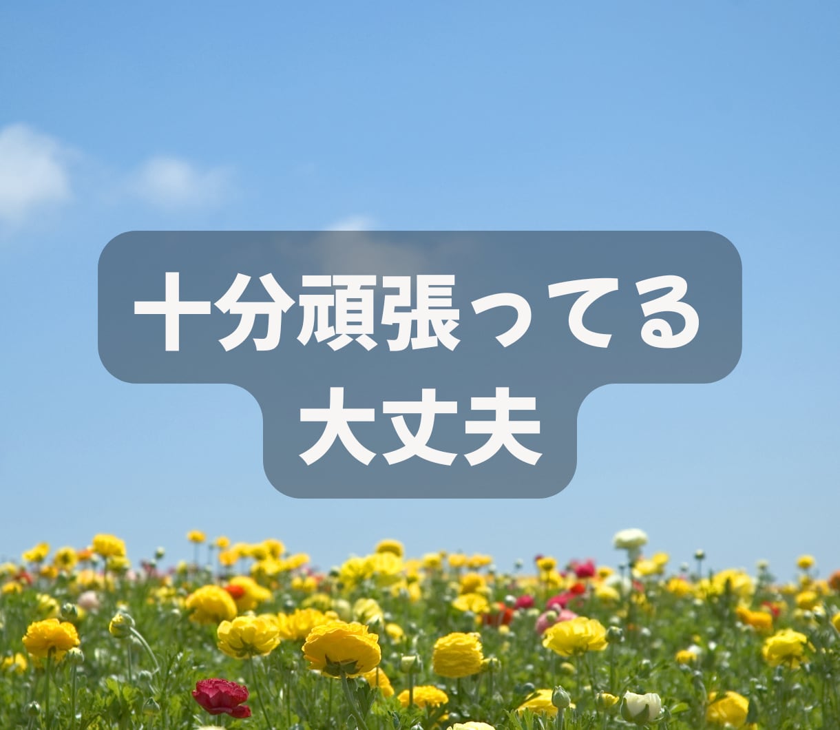 今すぐ誰かと話したい！　どんなお話も優しく聞きます 元女性自衛官15年☆愚痴・悩み・雑談・モヤモヤなんでもどうぞ イメージ9