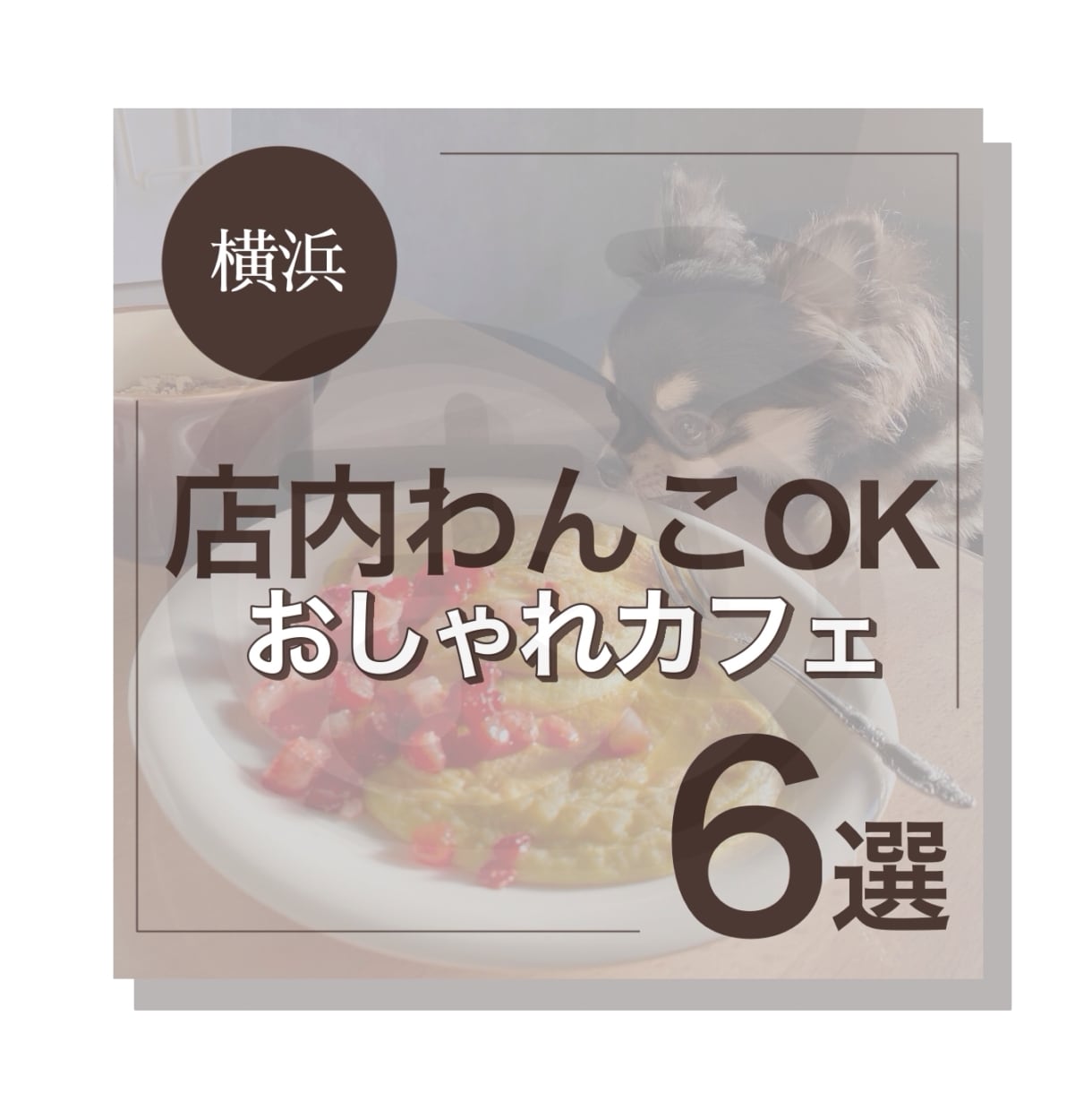 目を引くバナー・SNS画像を制作します 「伝わる × クリックしたくなる」デザインを作成します ☆。 イメージ4