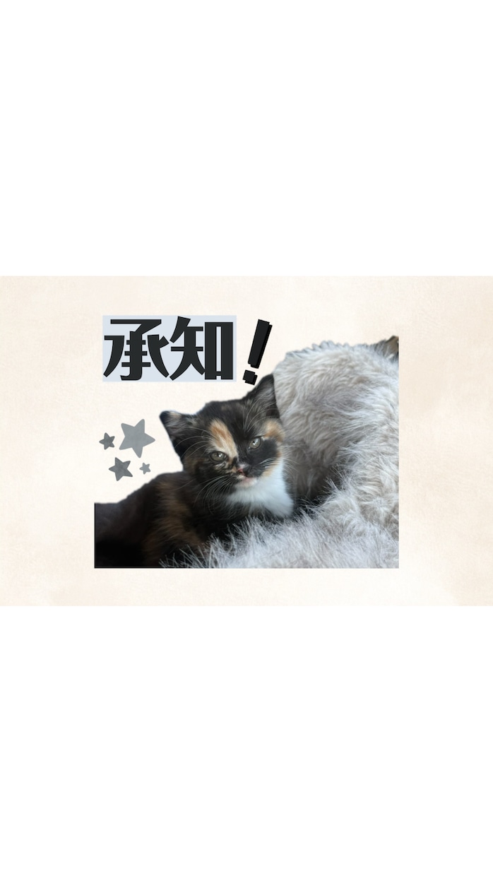 一生使える ペットのLINEスタンプを作成します 愛しのペット達のオリジナルLINEスタンプを作成します。 イメージ9