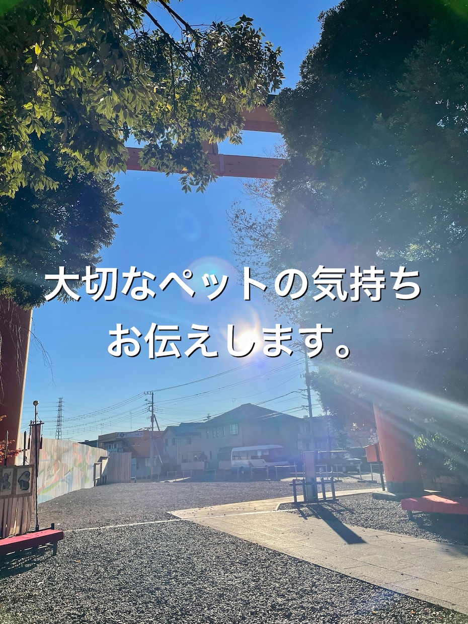 ペットの気持ちお伝えします 大切なペットの気持ち鑑定します。 イメージ1