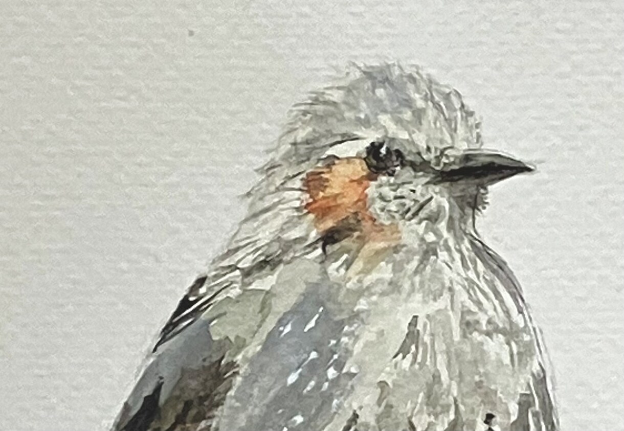 あなたのペットお描きします あなたの大切なご家族との思い出を、心を込めてお描きします。 イメージ4