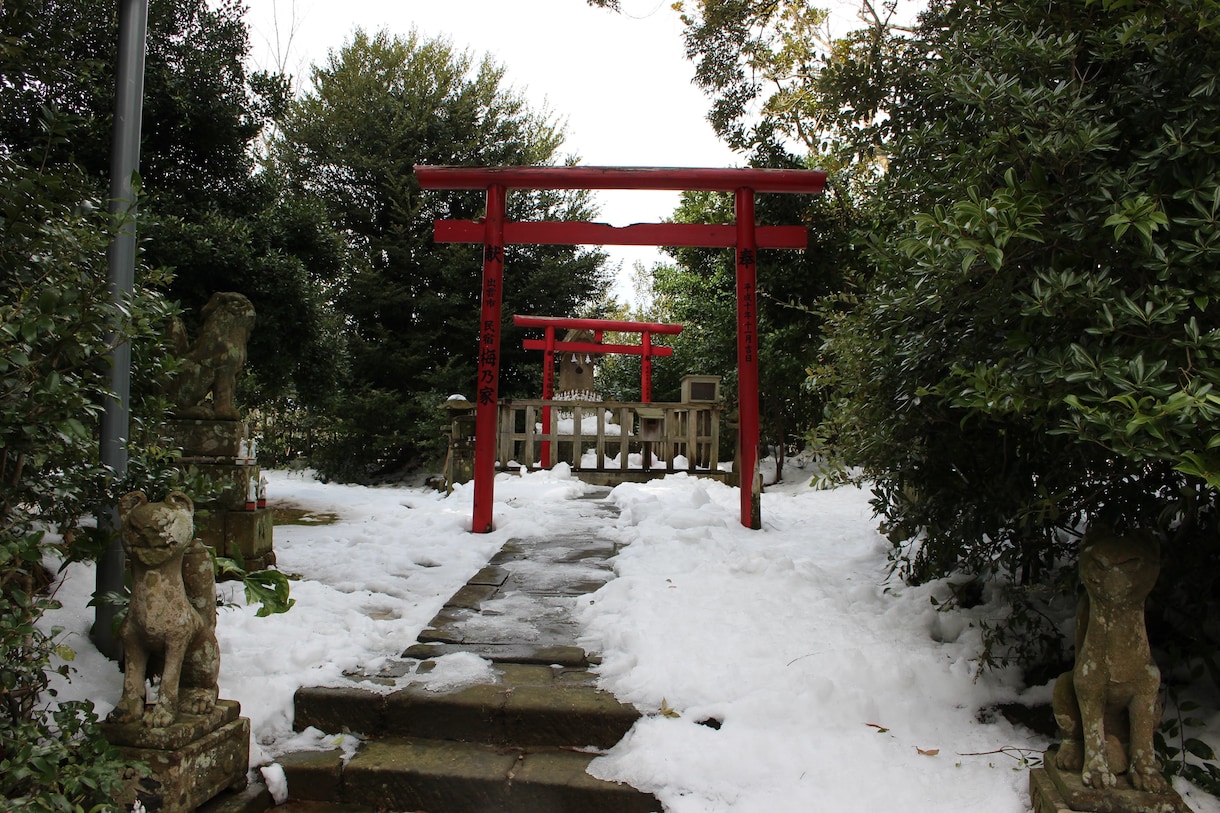 ご希望の出雲地域の神社へ参拝祈願致します 運命的な人やお仕事のご縁、健康など様々な御利益を皆さまに イメージ6