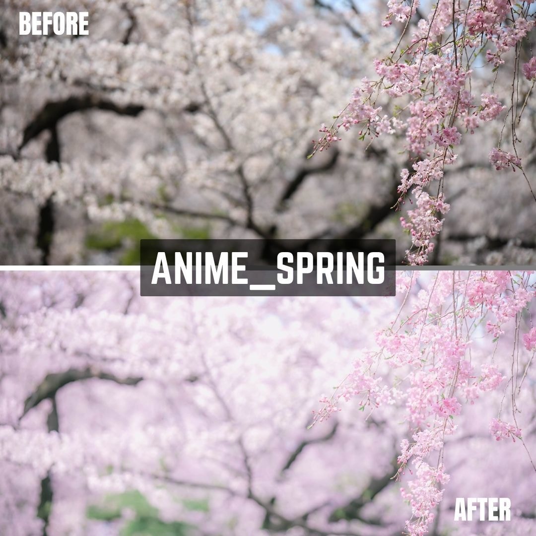 ANIME Lightroomプリセット販売します スマホで撮影した写真、ワンタッチで大変身！ イメージ2