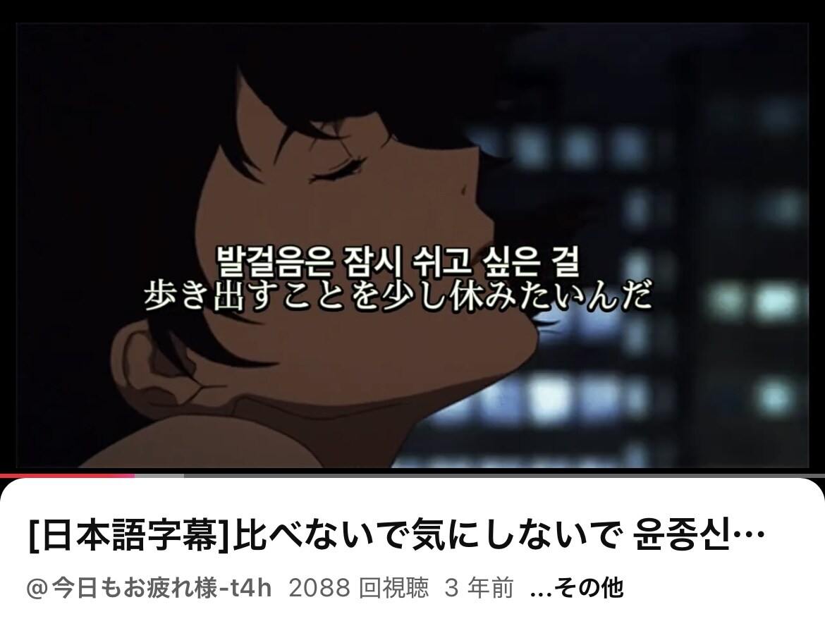 韓国語翻訳動画作成致します お好みの動画に字幕付け、または好きな写真に字幕付け可能です イメージ2