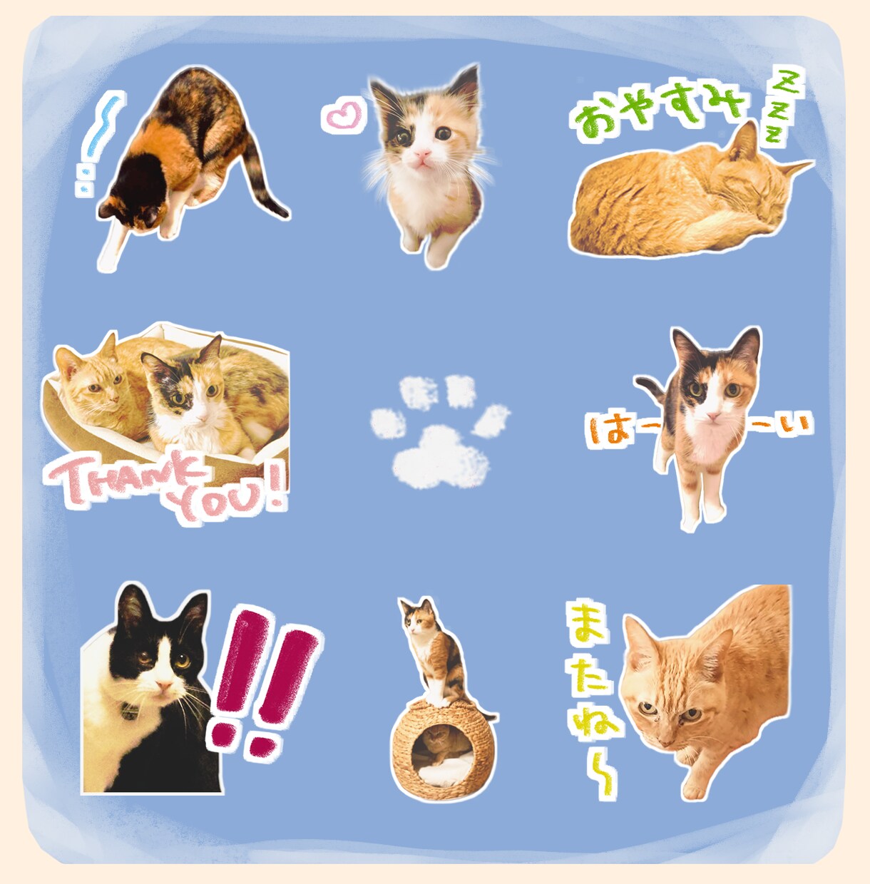 ゆるゆる「うちのこ」LINEスタンプ作成します 飼い主の口癖やペットのお気に入り写真をスタンプに◎ イメージ4