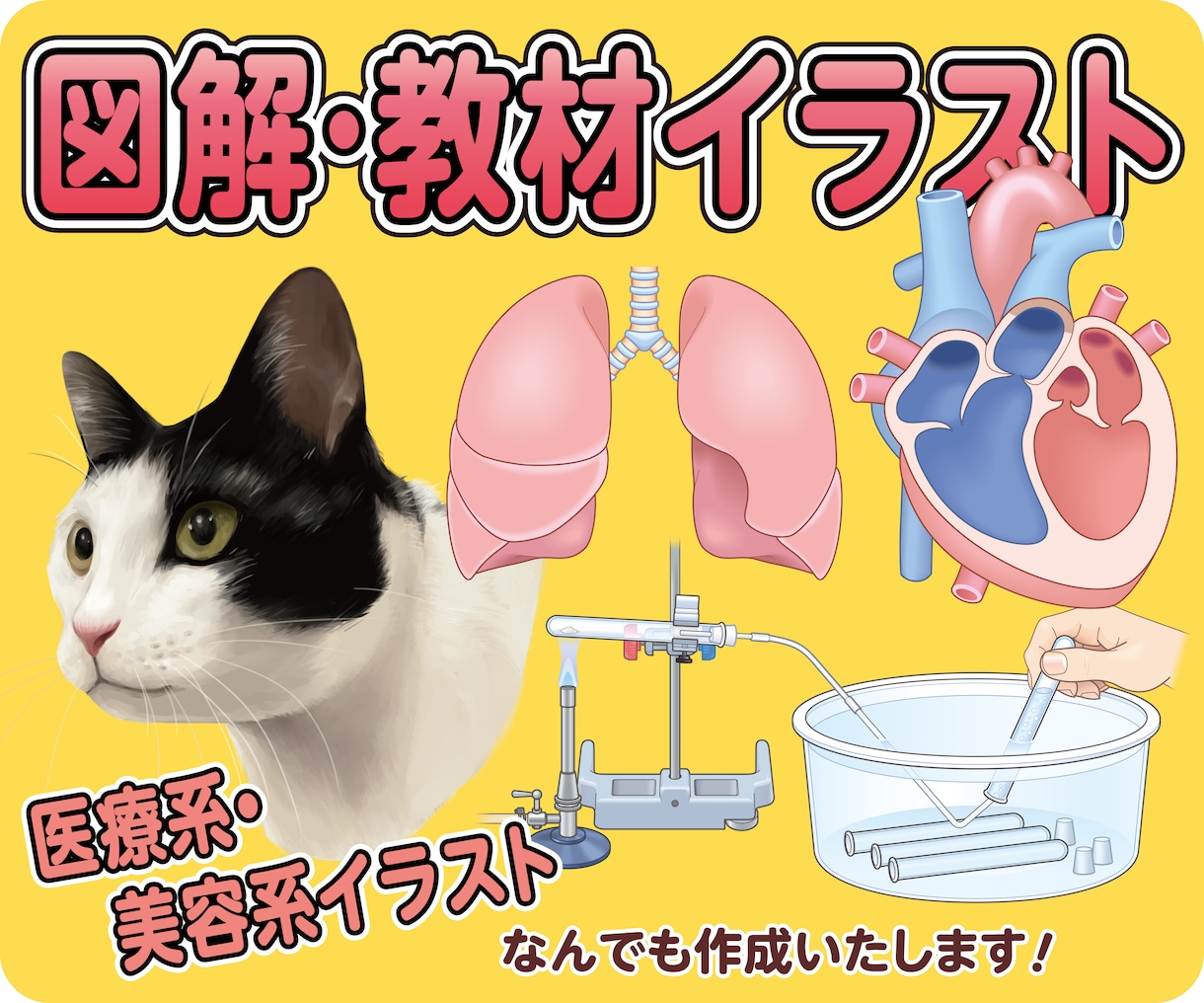教材や医療系イラスト、広告挿し絵なんでも承ります マジメな教材イラストからポップなイラストまで イメージ1