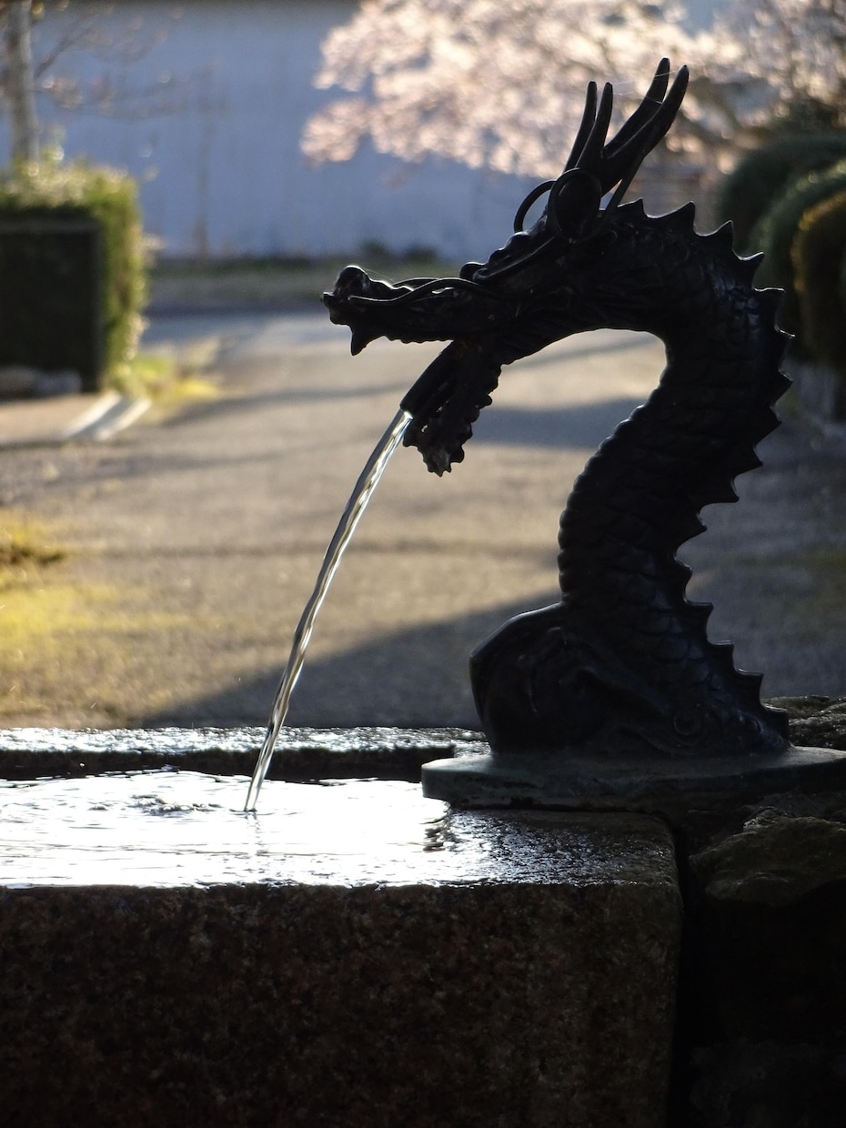 金運を引き寄せる！霊視であなたの運気上昇させます 金運の波を読み解き、運気の停滞を霊視で見極めます イメージ6