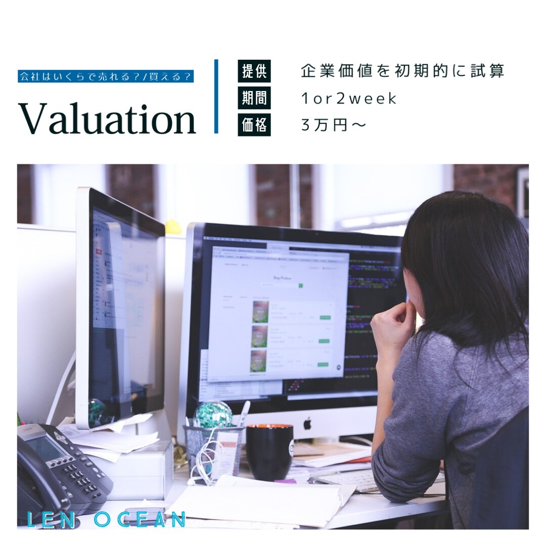 初期的な企業価値を算定します 【この会社はいくらで売れるのか、いくらで会社が買えるのか】 イメージ1