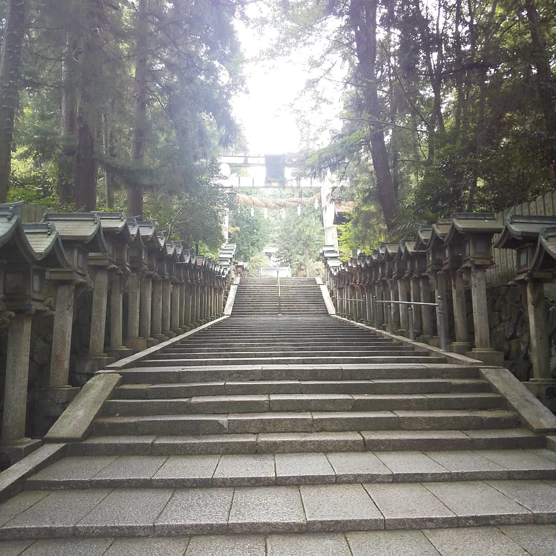 旅行管理者資格保持者が神社参拝旅行を一緒に考えます スピリチュアル旅行をしたいから、誰かと相談しながら決めたい♪ イメージ10