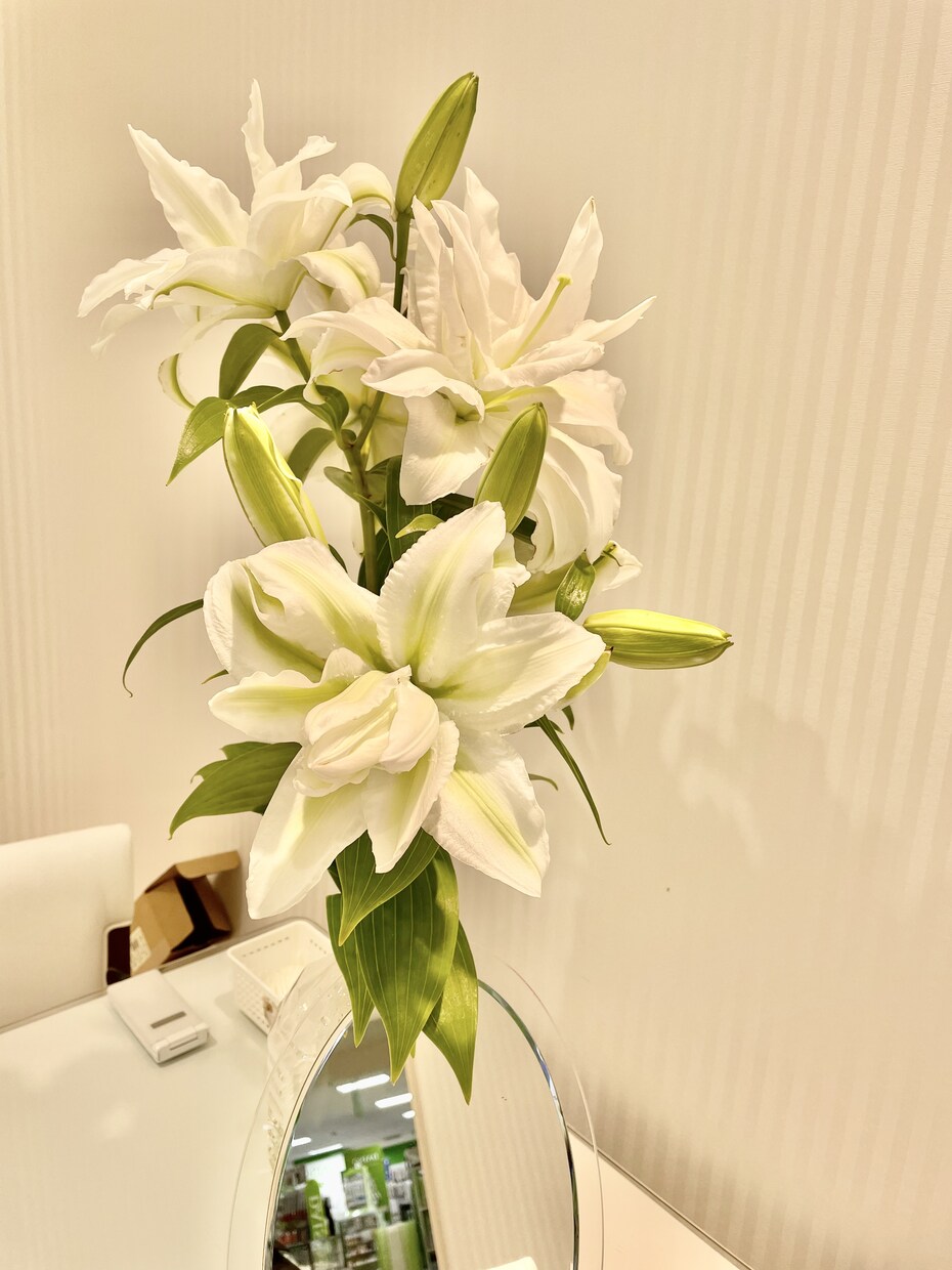 お話・相談相手になります 人生経験からのアドバイスもできる方にはさせていただきます。 イメージ2