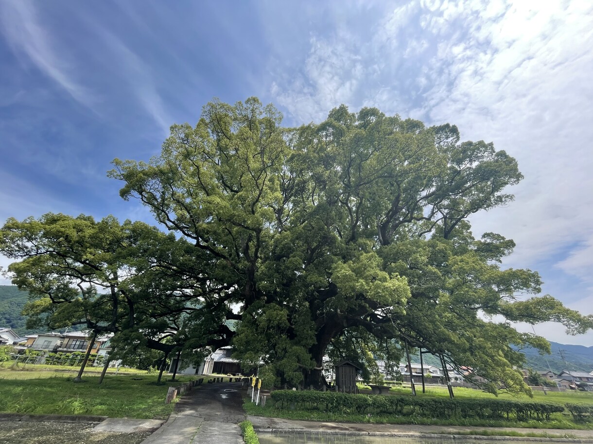 癒しのエネルギー、臼井式レイキをお届けします からだやこころを整えたい、リラックスしたい方へ イメージ1