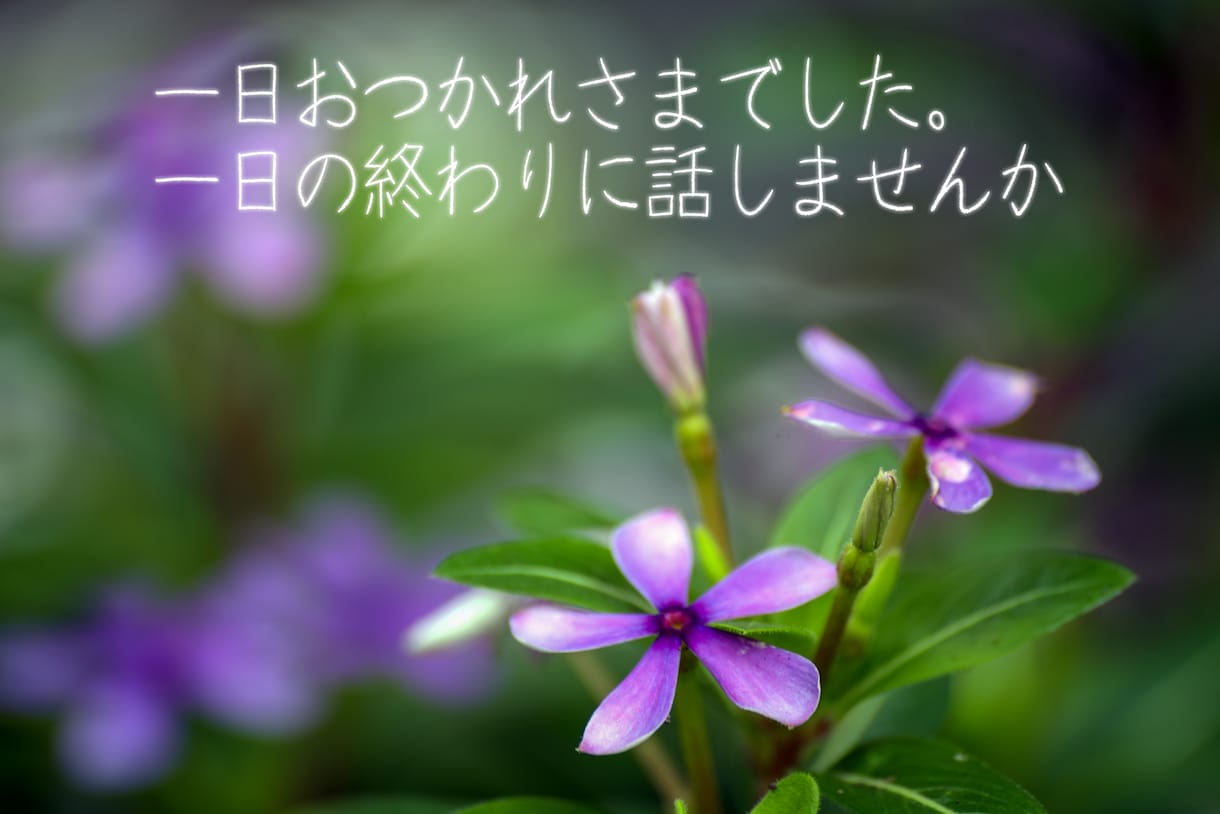 話を聴いてほしい!どんなお話も全力でお聴きします 現役生活相談員。国家資格複数保持。安心してお話ください。 イメージ10