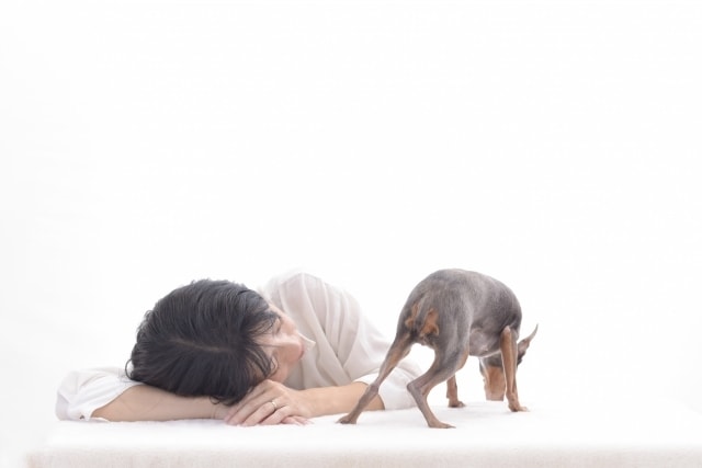 遠隔ヒーリングで愛犬と飼い主様の心身を癒します レイキと音叉のヒーリングで愛犬の状態を整える癒しの時間 イメージ4