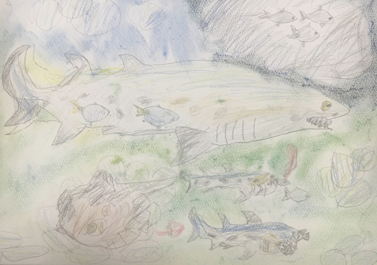 魚のイラスト書きます 魚のイラストを色鉛筆で書きます イメージ2