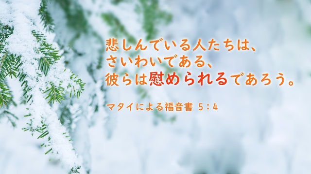 ちょっとしたことでもお悩み聞かせていただきます クリスチャンカウンセラーが親身になって解決策へ導きます☆彡 イメージ2