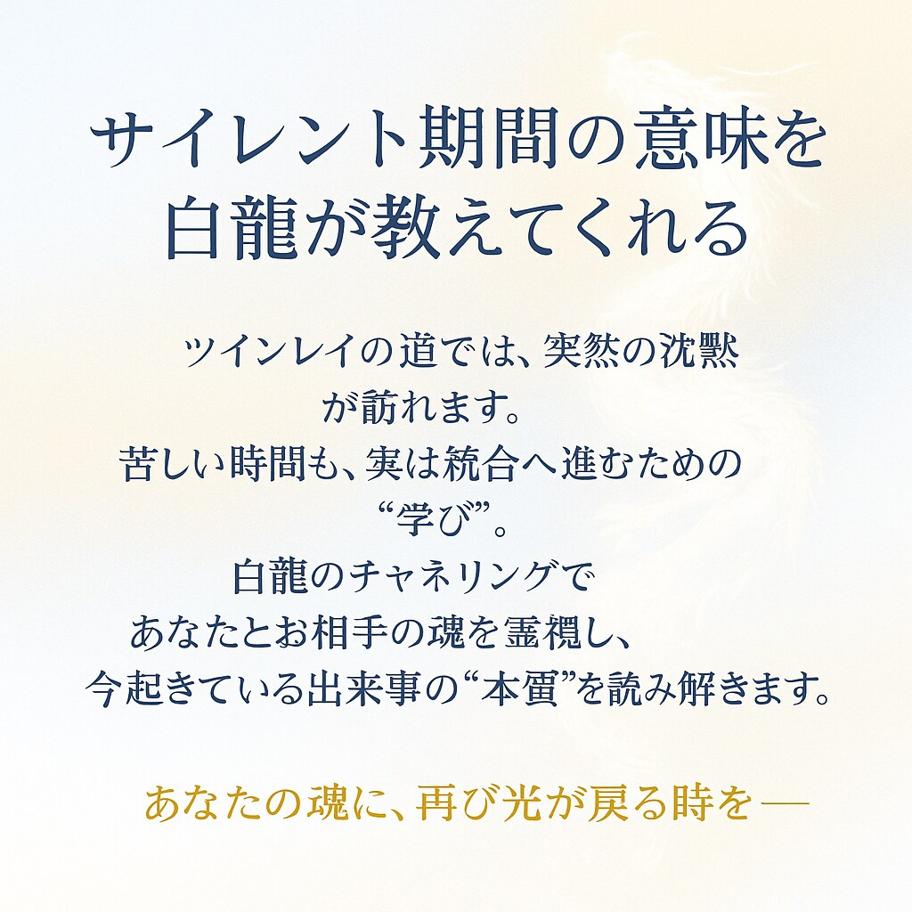 第2弾：白龍チャネリングで霊視します サイレント期間の意味を解き明かします イメージ2