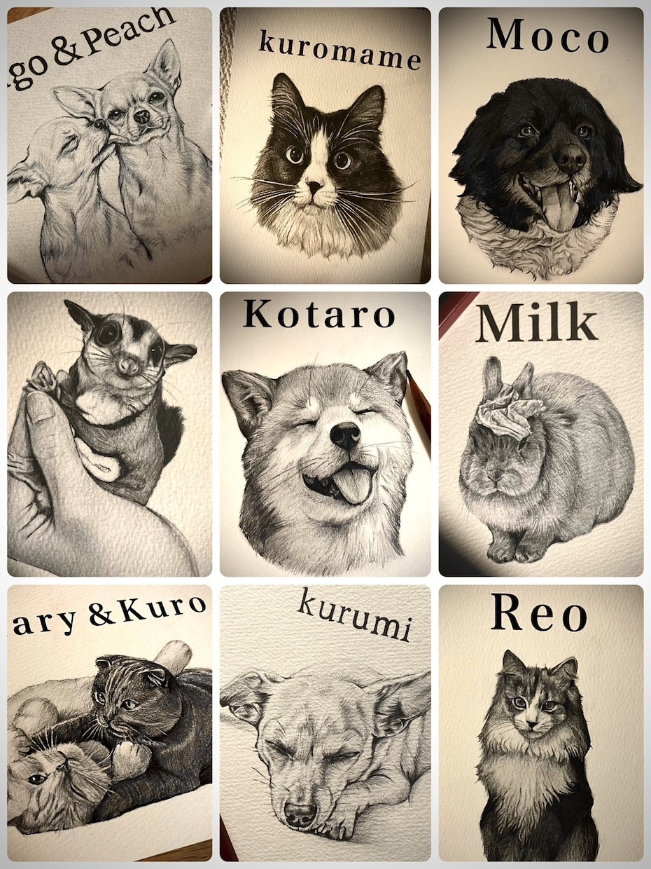犬•猫•ペットの似顔絵を鉛筆画で丁寧に描きます 小動物〜爬虫類ちゃんのイラストもOK イメージ4