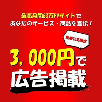 最高月間80万PVのゲームサイトに広告を掲載します ゲーム特化の記事が豊富であるためコアなゲーマーの高い閲覧率！ イメージ1