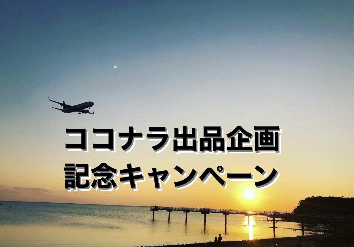 格安！！航空業界への相談なんでもリアルに伝えてます 元大手航空会社グランドスタッフが悩み・気持ちに答えます イメージ8