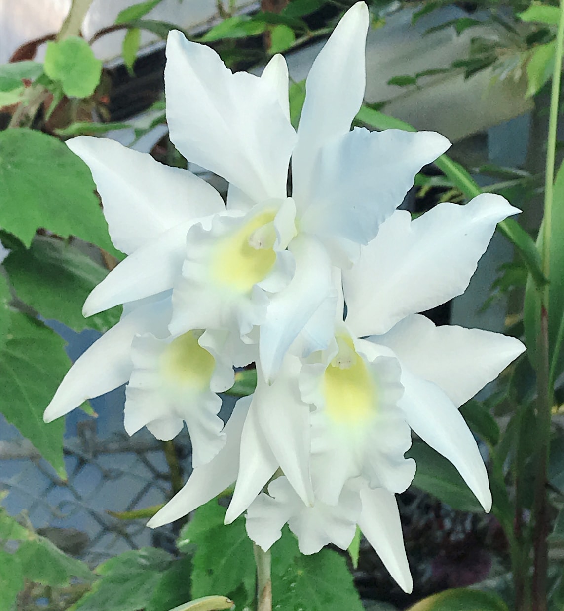 今モヤモヤしていることを整理します 何をどう相談していいかわからない気持ちも一緒に整理しましょう イメージ1