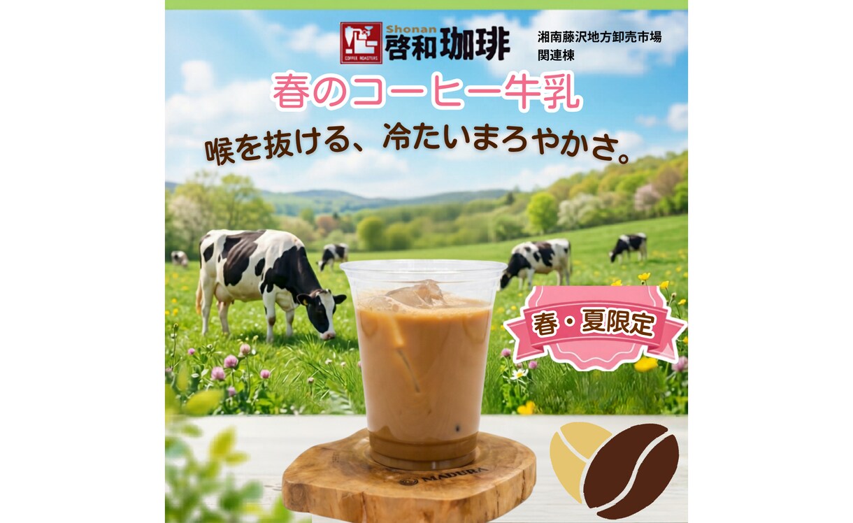 現場目線で魅力を伝えるポスター・チラシ作成します お店の魅力が「一目で伝わる」ポスター・チラシ イメージ4