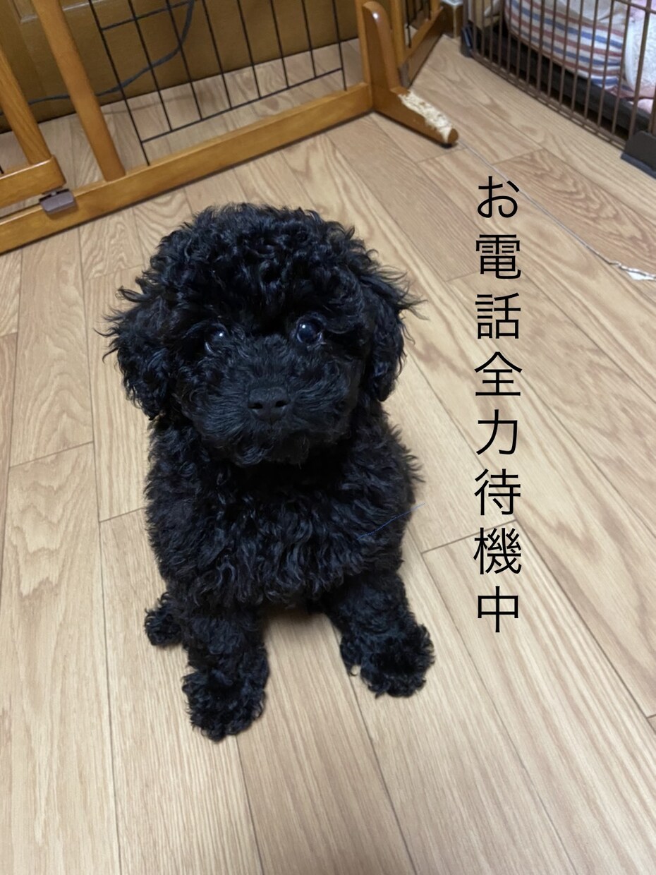 京都弁であなたの話を好きなだけ聞きます はんなりした雰囲気に癒されたい方はぜひおいでやー(^^) イメージ1