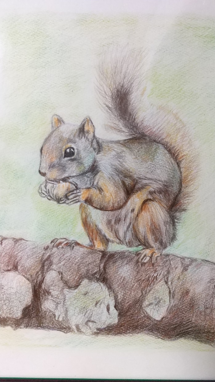 色鉛筆で動物画、人物も描きます 記念品として、遺影として飾りたい方 イメージ2