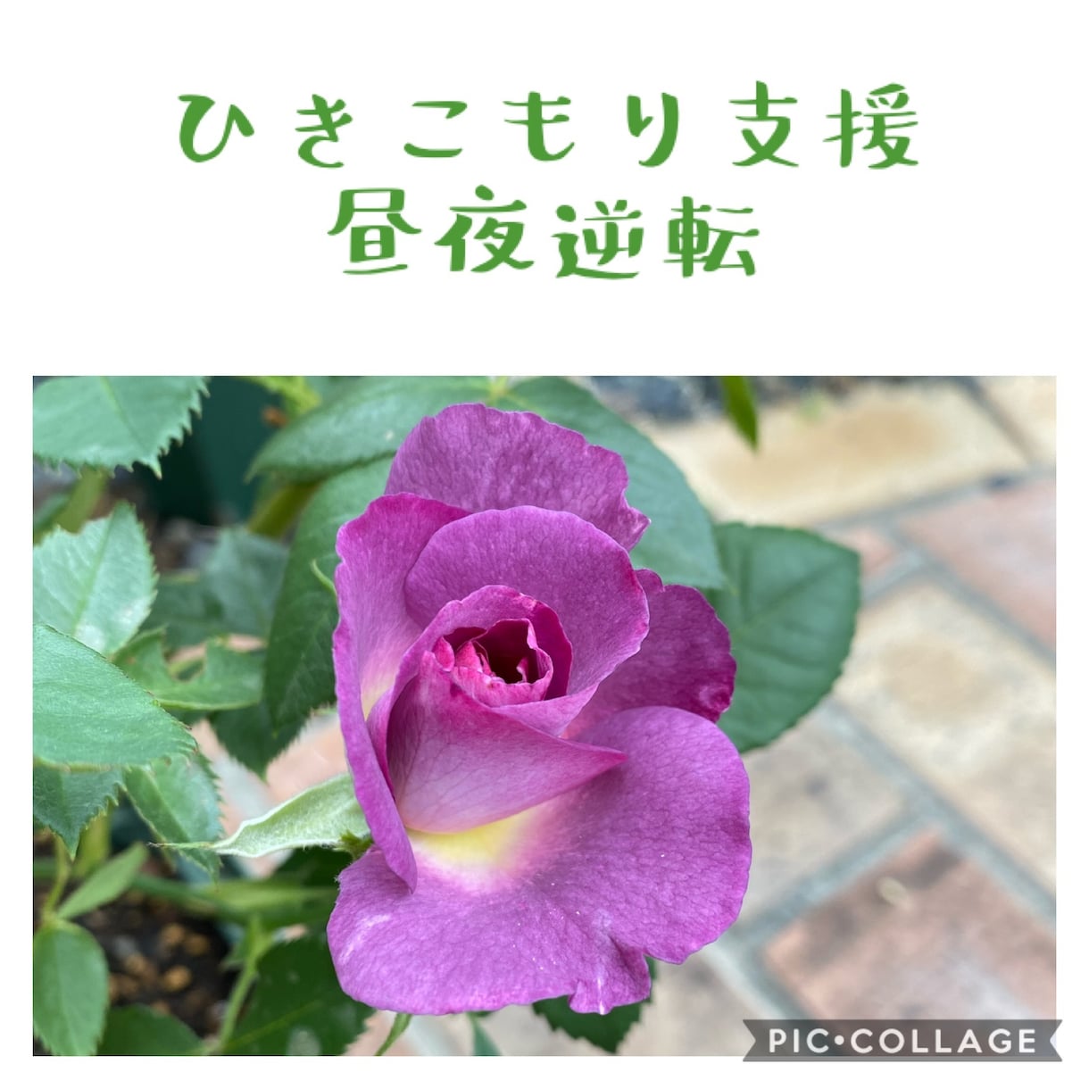不登校・ひきこもり・子どもの暴言・相談承ります 専門資格保持者が「不登校やひきこもりの悩み」にお答えします。 イメージ4