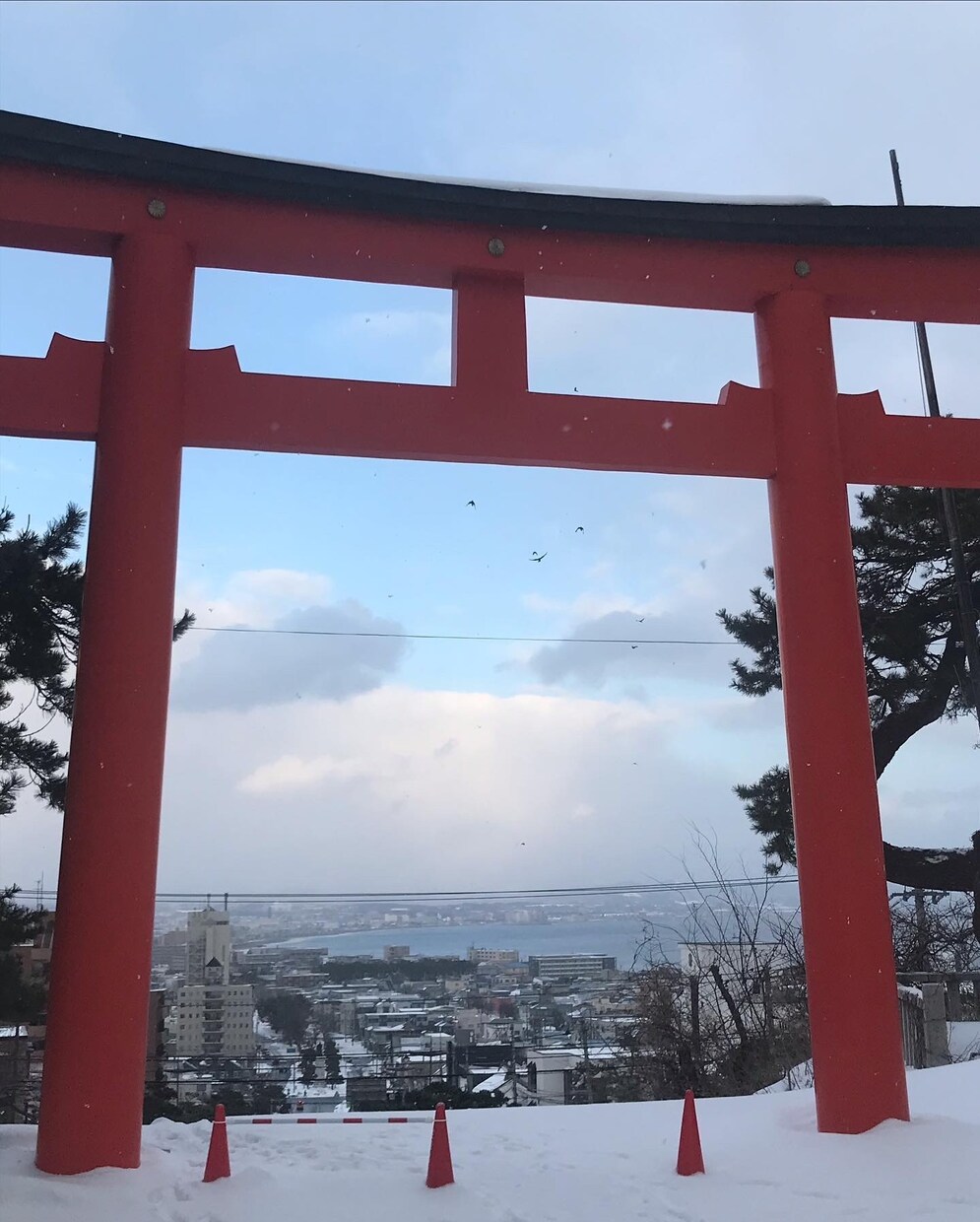 クーポン歓迎！北海道に憧れてる方へ情報お伝えします 北海道。住むには？転校させるには？疑問のご相談に乗ります イメージ4