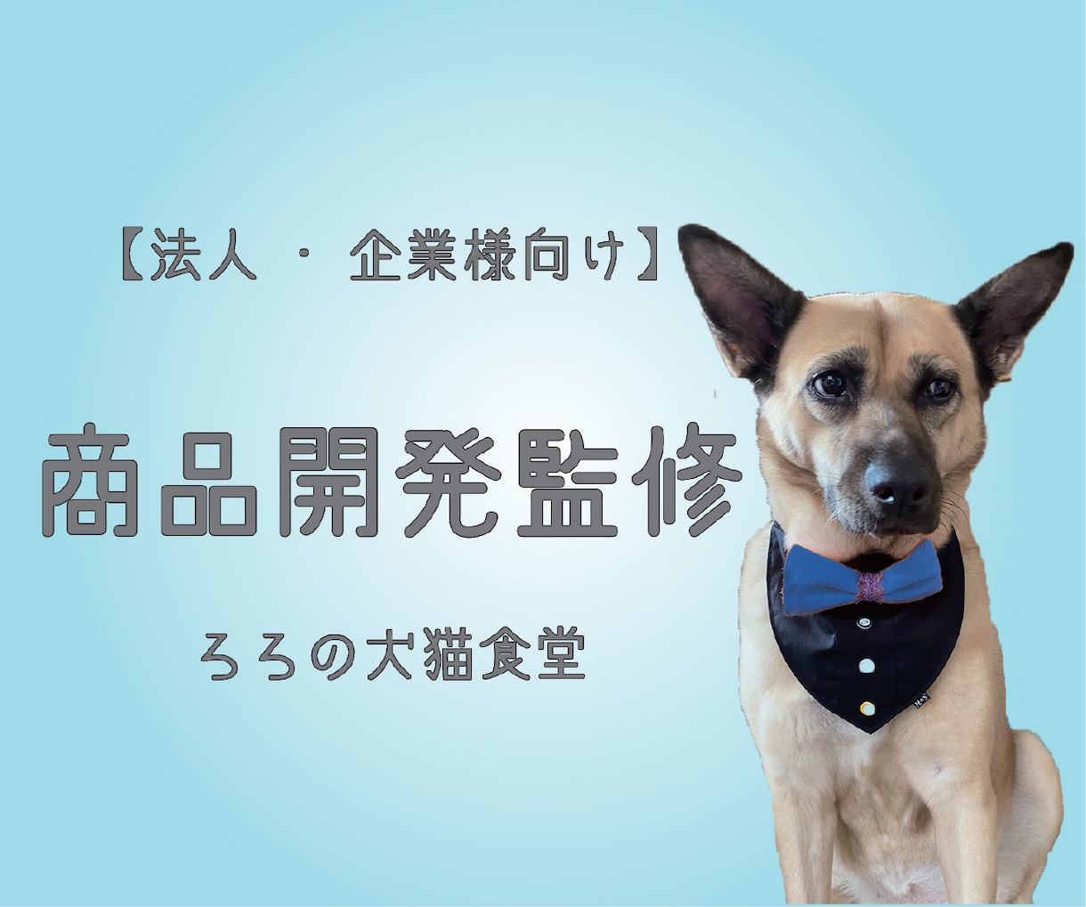 法人・企業様向け*商品開発の監修します 犬・猫のごはん、おやつの商品開発をお手伝いします イメージ1