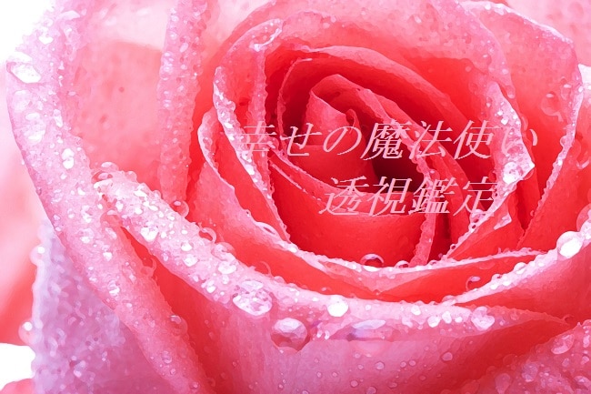 知りたい事は何ですか？透視・遠隔透視します 【幸せの魔法使い】透視鑑定　例）次に出逢う人はどんな人？ イメージ1