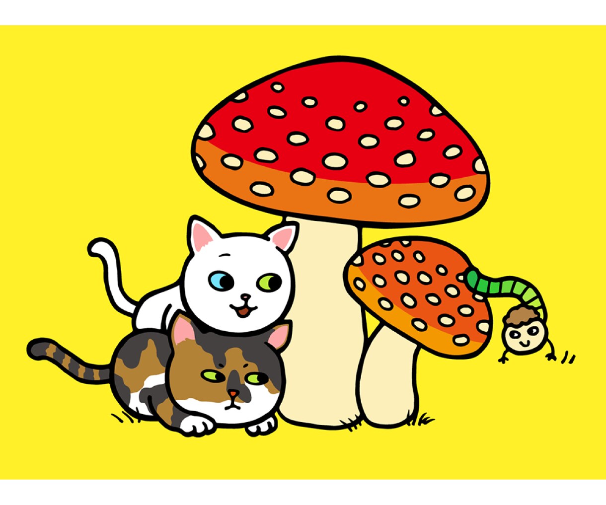 ほんわか、ポップで可愛いペットの似顔絵お描きします 飼い主様と一緒もOK♪SNSアイコン・記念・プレゼントに！ イメージ3