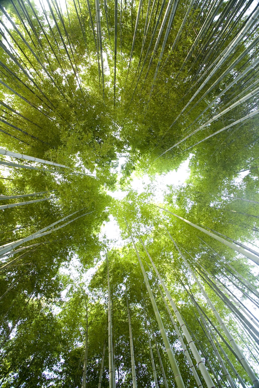 スピリチュアルな話聞きます なかなか人と話せないスピリチュアルな話を聞きます。 イメージ1