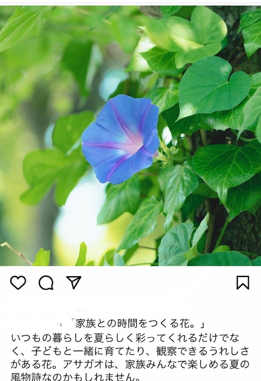 プロのライターがあなたの撮った写真に言葉を添えます Instagramや写真に雰囲気のあるキャプション・コピーを イメージ10