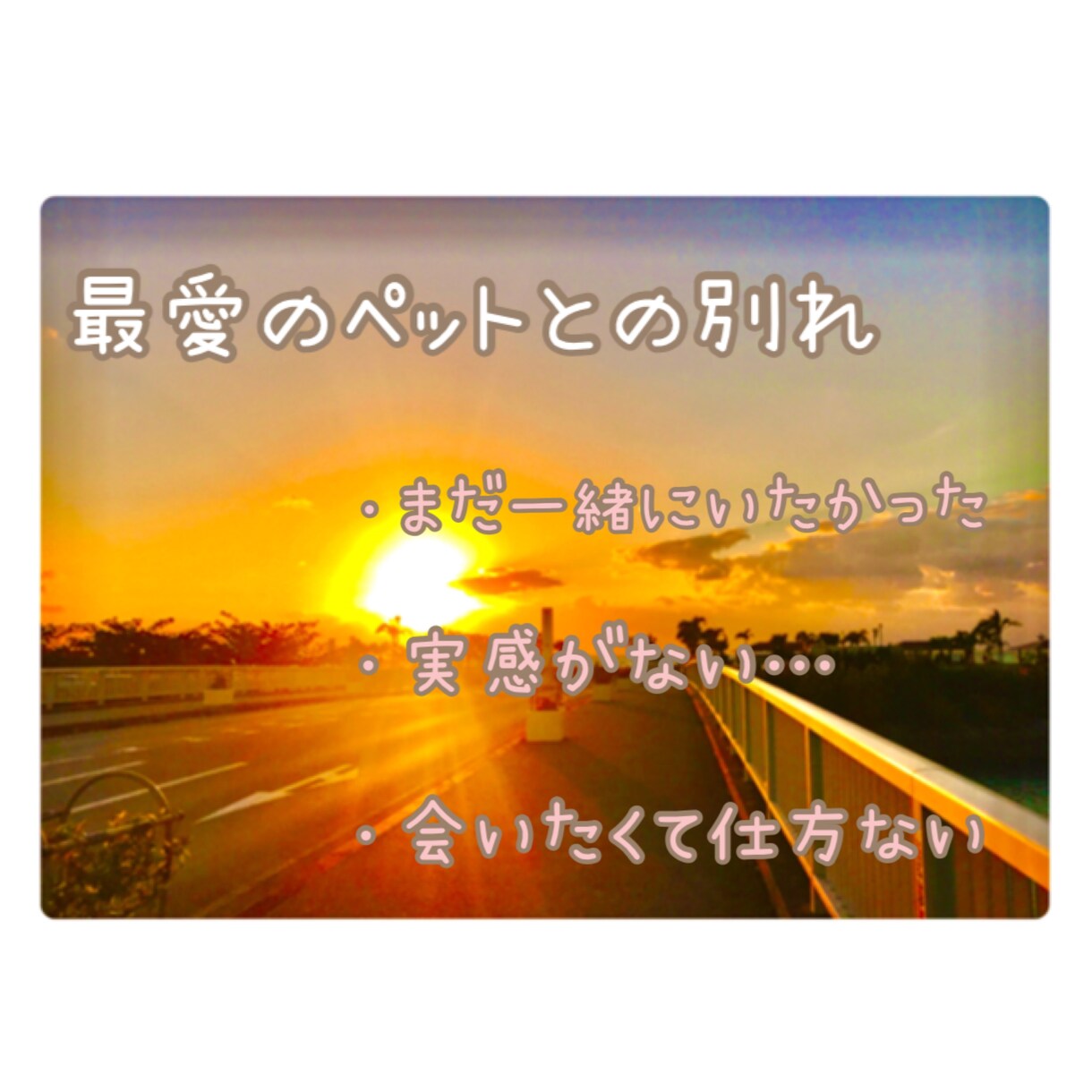 ペットとの別れ…話し聴きます 大好きなペットとの別れが受け入れられない。どんな子だった？ イメージ1