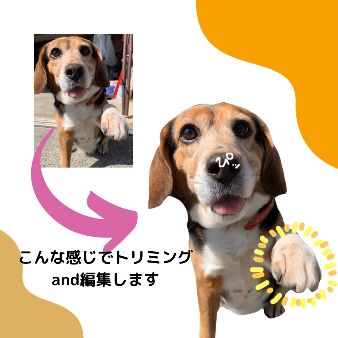 写真からオリジナルLINEスタンプ作成いたします 携帯に眠っている思い出の写真をスタンプにしませんか？ イメージ1