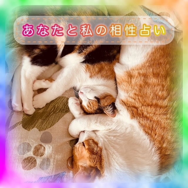 あなたと私の相性占います 気になるあの人との相性をバッチリ！占います(*´ω`*) イメージ1